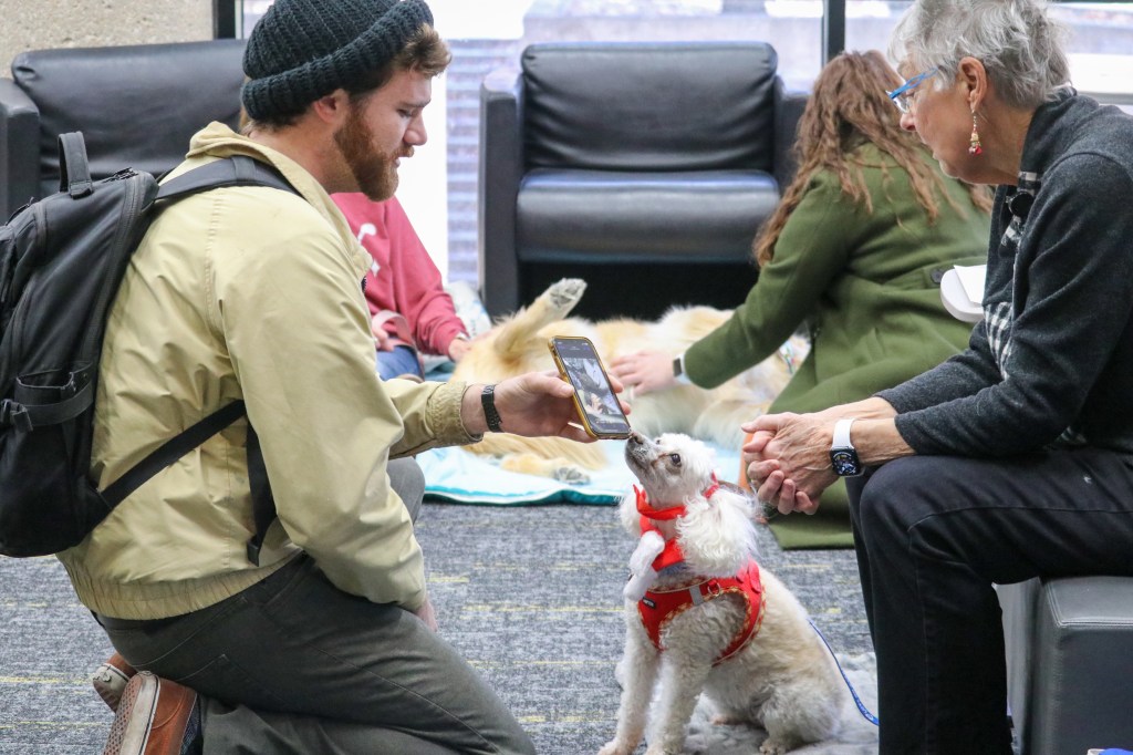 A small dog wearing a red harness interacting with visitors during an indoor community event.
