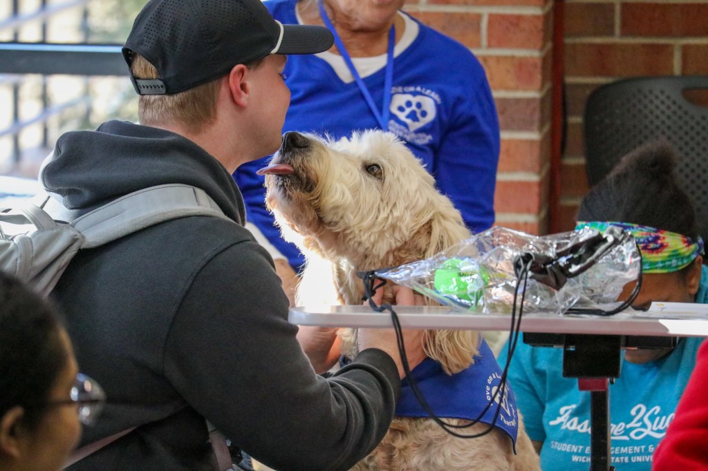 A visitor interacting with a therapy dog at an indoor outreach event.